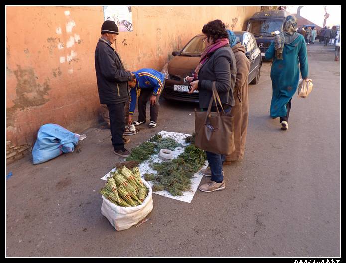 Zoco Marrakech